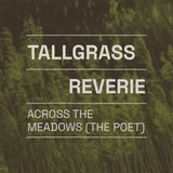 Across the Meadows (The Poet) cover art